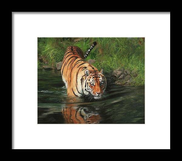 Tiger Framed Print featuring the painting Cool by David Stribbling