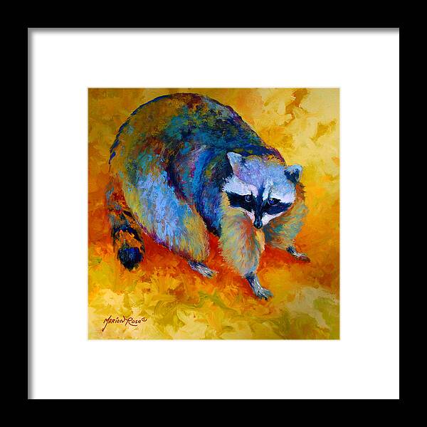 Racoon Framed Print featuring the painting Coon by Marion Rose