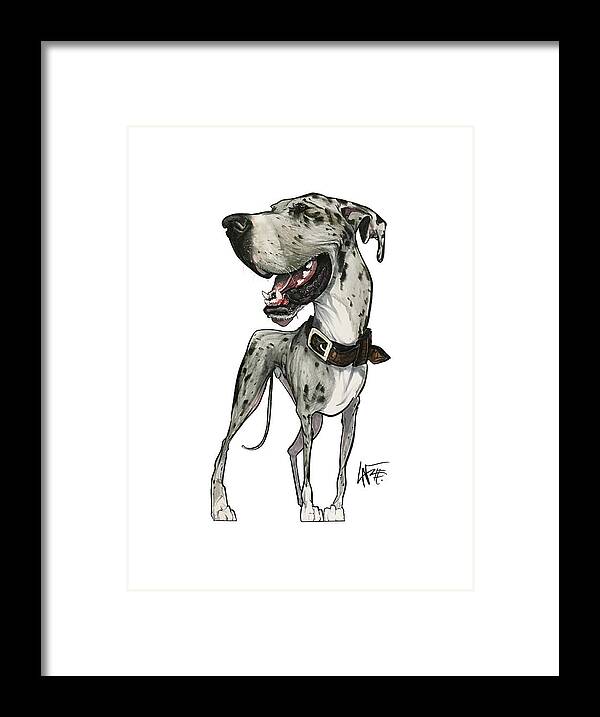 Great Dane Framed Print featuring the drawing Cooper 3636 by John LaFree