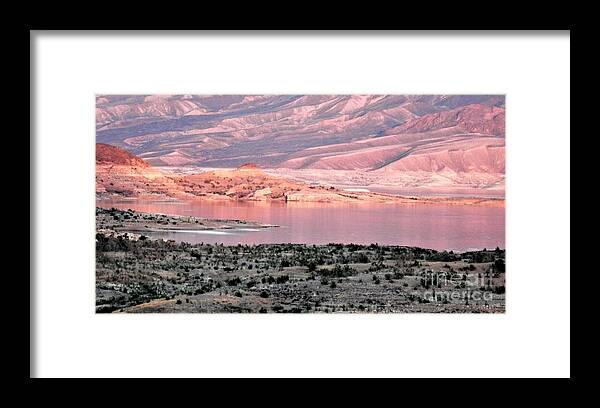 Copper Framed Print featuring the photograph Copper schemes by Barbara Leigh Art
