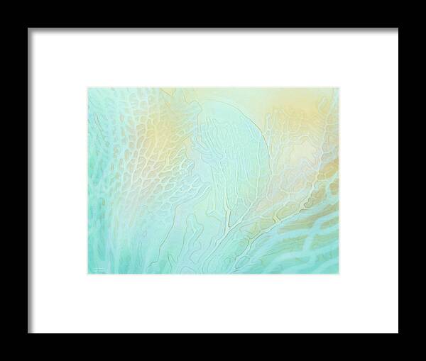 Carol Cavalaris Framed Print featuring the mixed media Coral Moods 3 by Carol Cavalaris