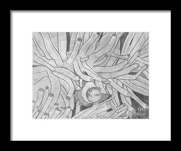 Fish Framed Print featuring the drawing Clown fish by Sherri Gill