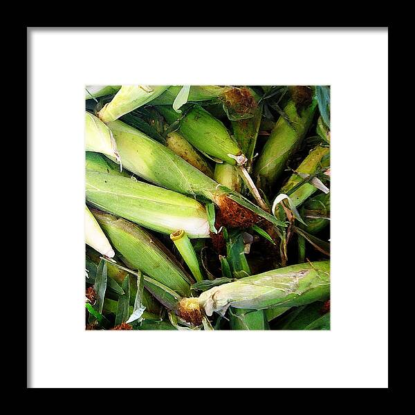 Fruit Framed Print featuring the photograph Corn by John Vincent Palozzi