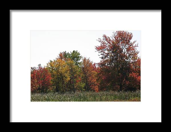 Landscape Framed Print featuring the photograph Corn's all gone by Ed Smith