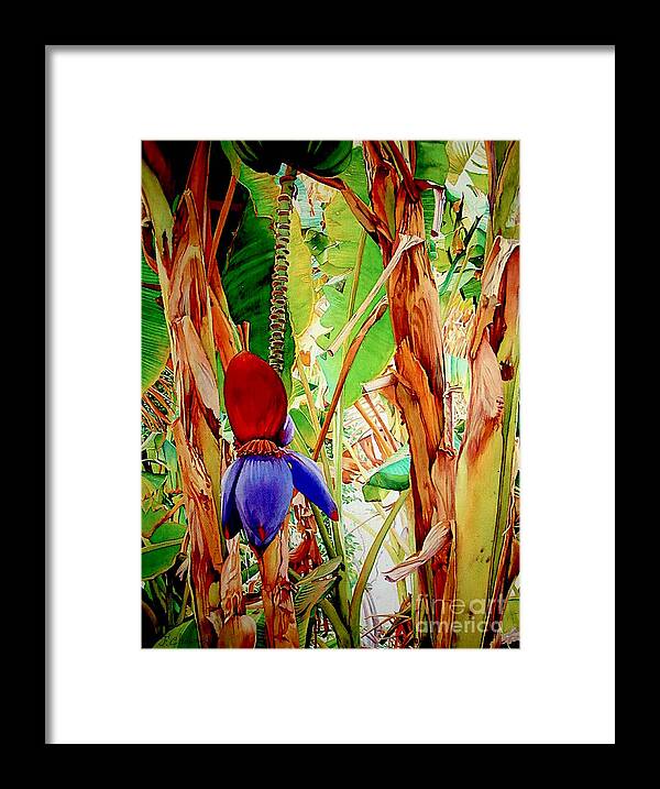 Corn Framed Print featuring the painting Banana flower by Francoise Chauray