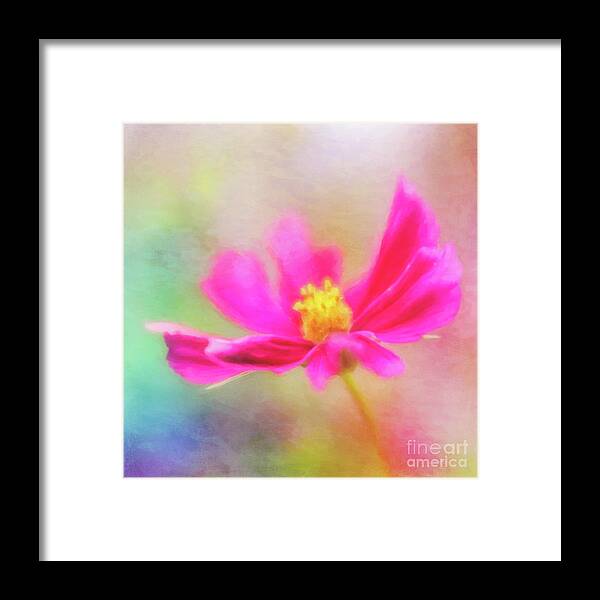 Cosmos Framed Print featuring the photograph Cosmos Flowers Love to Dance by Anita Pollak
