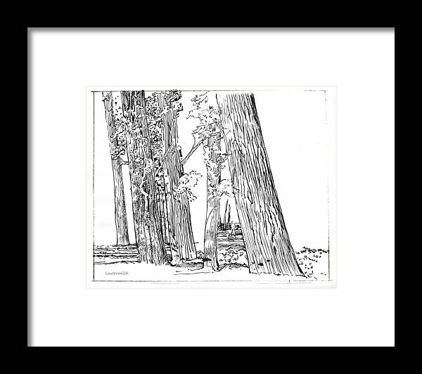 Ink Drawing Framed Print featuring the drawing Cotton Woods Creve Coeur Path by John Lautermilch