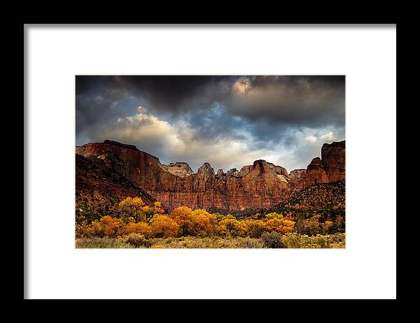 National Park Framed Print featuring the photograph Cottonwoods of Zion by Andrew Soundarajan