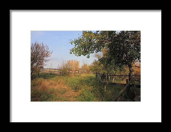 Farm Framed Print featuring the photograph Country Lane by Jim Sauchyn