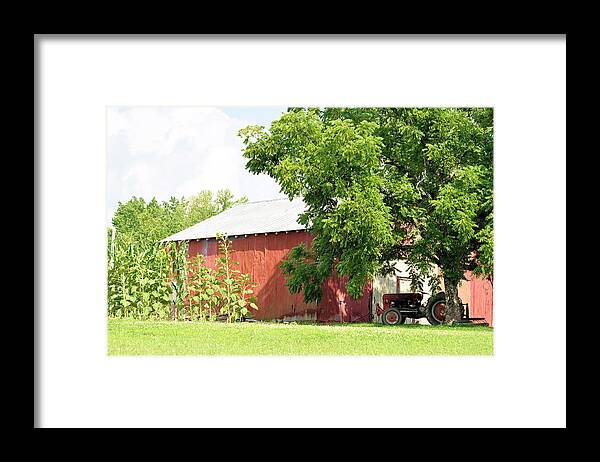 Barns Framed Print featuring the photograph Country Life by Jan Amiss Photography