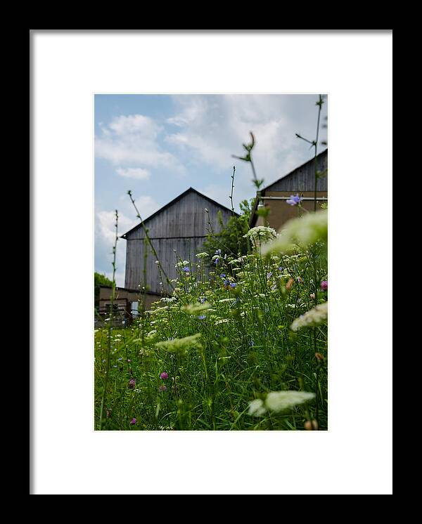 Farm Framed Print featuring the photograph Country Life by Holden The Moment