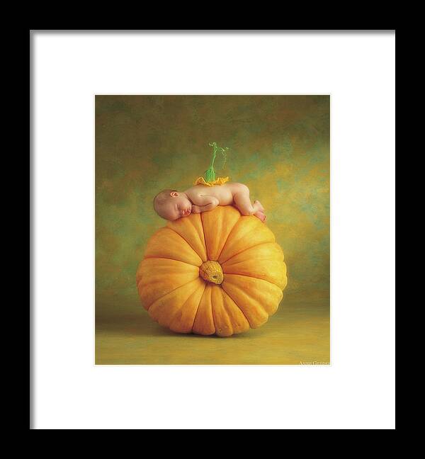 Fall Framed Print featuring the photograph Country Pumpkin by Anne Geddes