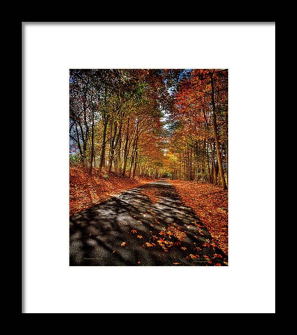 Mark T. Allen Framed Print featuring the photograph Country Road by Mark Allen