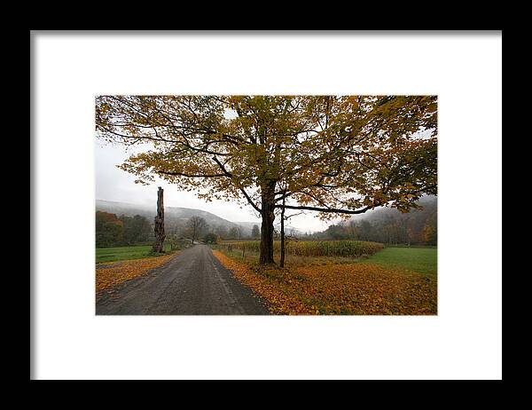 Country Fall Trees Field Road Drive Mountains Mountain Framed Print featuring the photograph Country Road by Robert Och