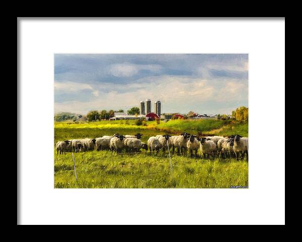 Sheep Framed Print featuring the photograph Country Sheep by Ken Morris