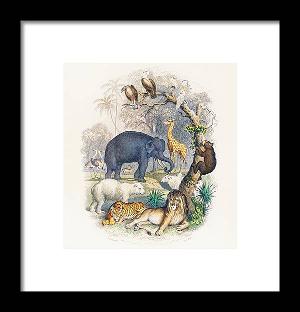 A History Of The Earth And Animated Nature Framed Print featuring the painting Cover of A history of the earth and animated nature by Vincent Monozlay