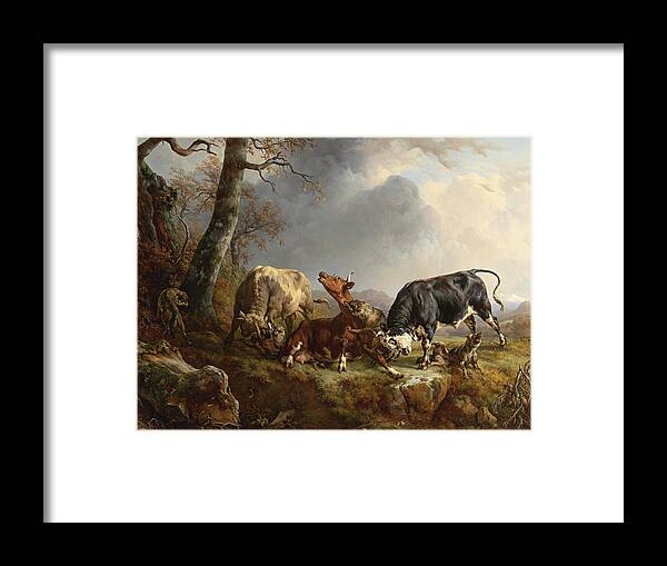Jacques Raymond Brascassat - Two Bulls Defending Against A Cow Attacked By Wolves Framed Print featuring the painting Cow Attacked By Wolves by MotionAge Designs