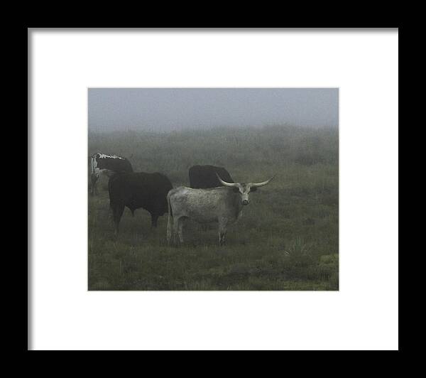 Longhorns Framed Print featuring the photograph Cows in the Fog by Sandra Dalton