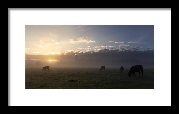 Sudbury Framed Print featuring the photograph Cows in the mist by Ian Merton