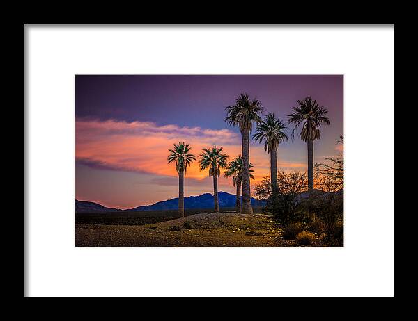 coyote Springs Framed Print featuring the photograph Coyote Springs Nevada by Janis Knight
