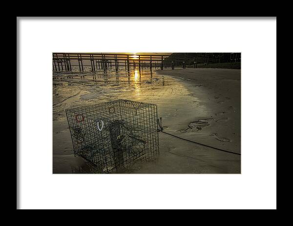 Crabtrap Framed Print featuring the photograph Crabtrap at Dusk by Dorothy Cunningham