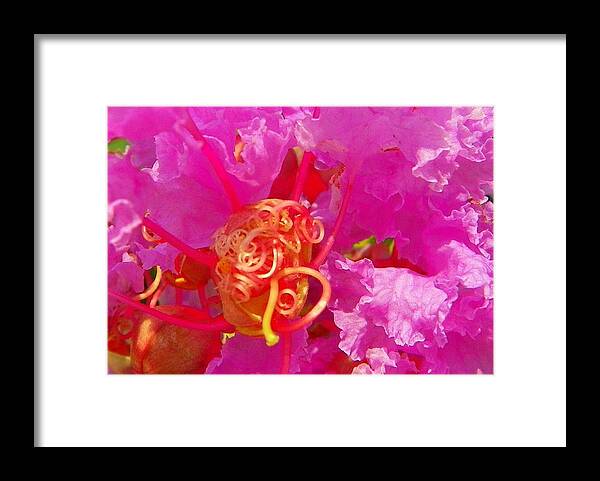 Macro Photography Framed Print featuring the photograph Crape Myrtle Bud by Sheri McLeroy