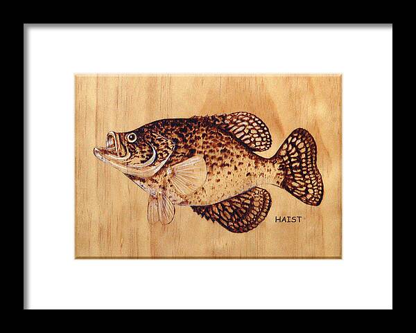 Fish Framed Print featuring the pyrography Crappie by Ron Haist