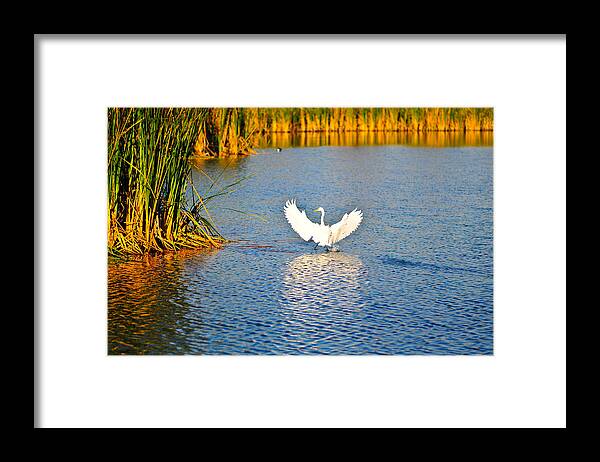  Framed Print featuring the photograph Crash Landing by Mandy Wiltse