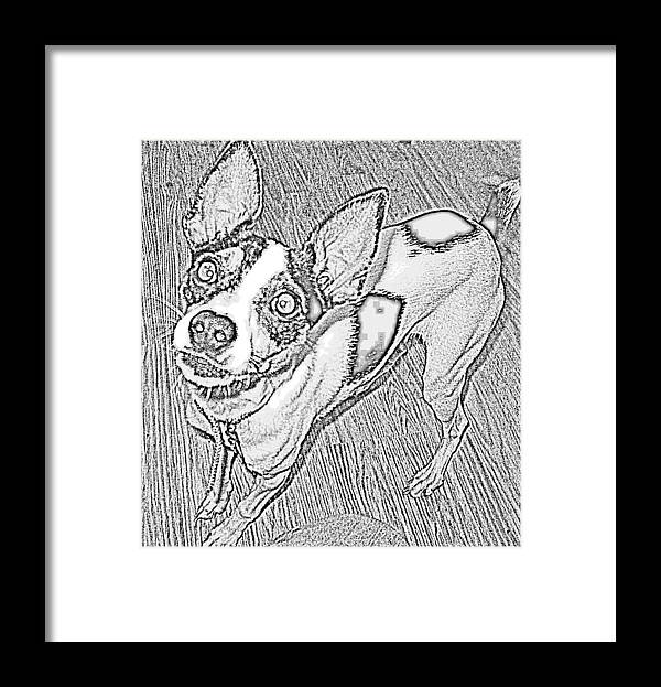 Frida The Rat Terrier Framed Print featuring the digital art Crazy Frida by Jan VonBokel