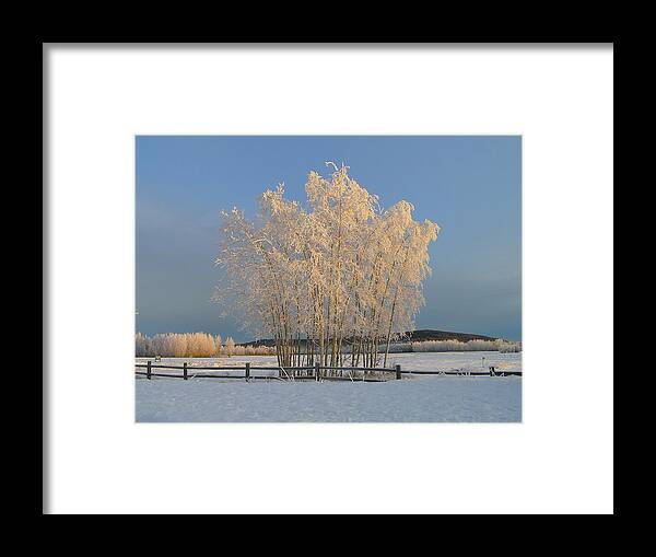 Snow Framed Print featuring the photograph Creamer Field by Louise Magno