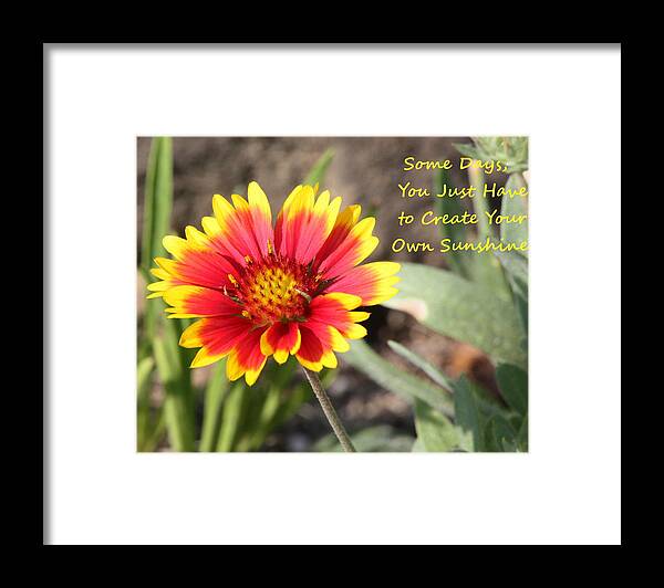 Nature Framed Print featuring the photograph Create Your Own Sunshine by Sheila Brown