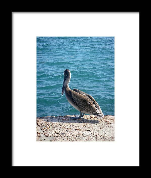 Nature Framed Print featuring the photograph Creatures Of The Gulf - Lulled By The Waves by Lucyna A M Green