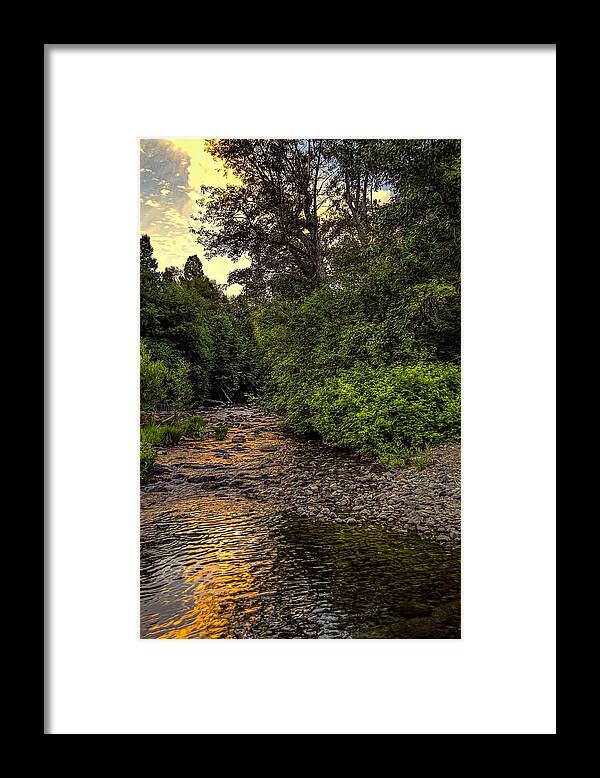 Creek Framed Print featuring the photograph Creek in the Sierras by Maria Coulson