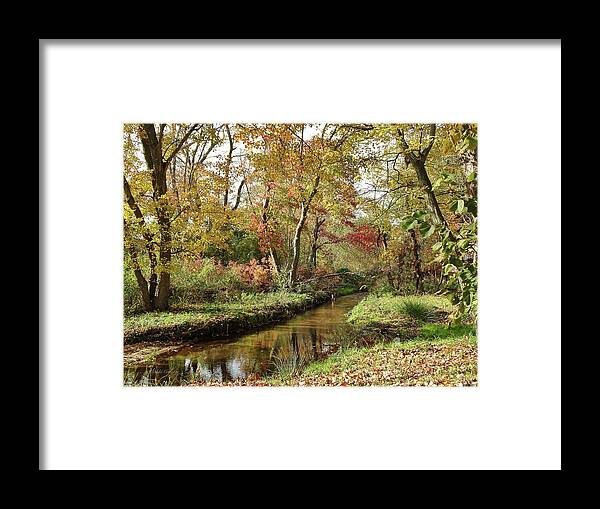 Landscape Framed Print featuring the photograph Creek in the woods by Mikki Cucuzzo