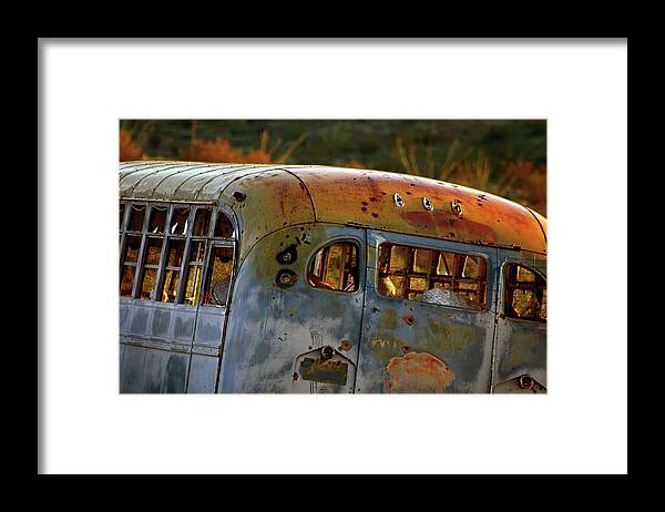 School Framed Print featuring the photograph Creepers by Trish Mistric