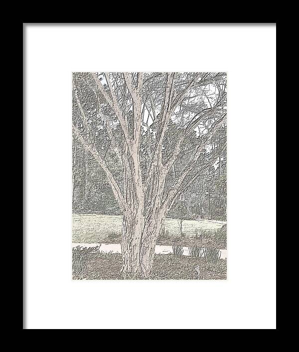 Photography Framed Print featuring the digital art Crepe Myrtle Close-Up in Grayscale by Marian Bell