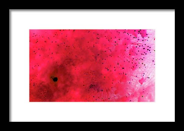 Fireworks Framed Print featuring the photograph Crimson Tide by Mary Bedy