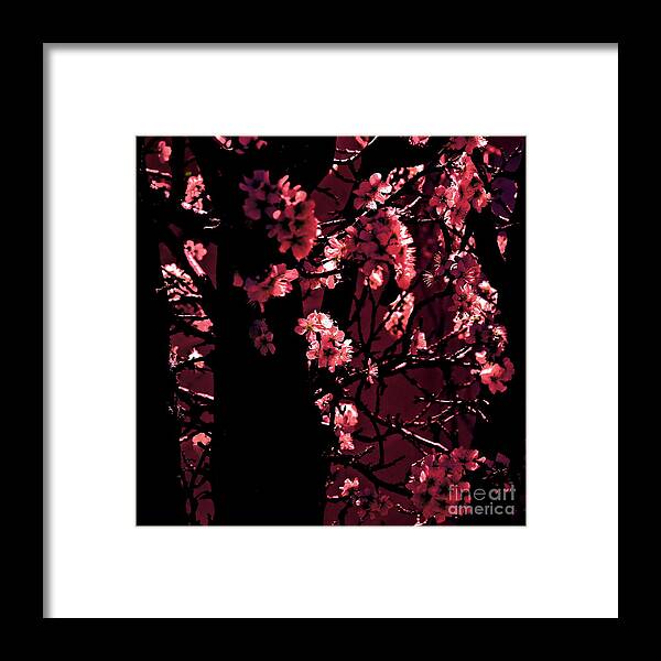 Digital Altered Photo Framed Print featuring the photograph Crimson by Tim Richards