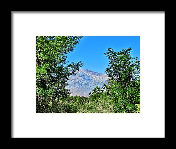 Sky Framed Print featuring the photograph Crisp Cool by Marilyn Diaz