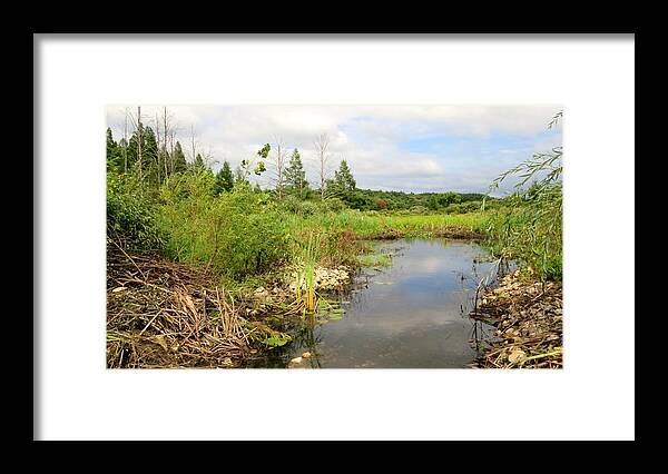 Crooked Creek Preserve Framed Print featuring the photograph Crooked Creek Preserve by Kimberly Mackowski