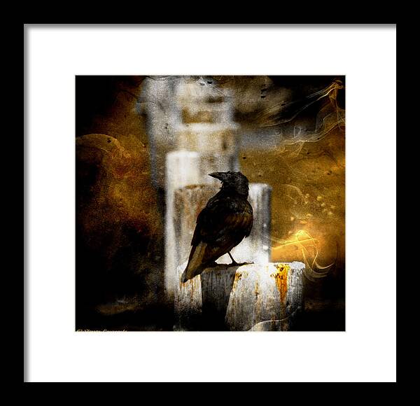Crow Framed Print featuring the photograph Crow in Shadows by Stoney Lawrentz