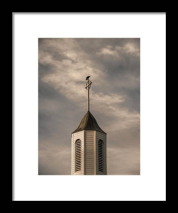 Birds Framed Print featuring the photograph Crow on Steeple by Richard Rizzo