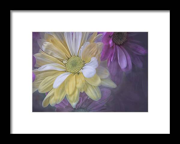 Daisy Framed Print featuring the photograph Crowded by Louise Hill