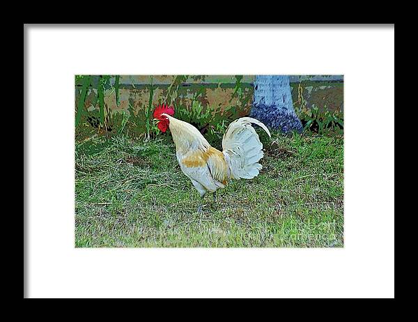 Rooster Framed Print featuring the photograph Crowing by Craig Wood