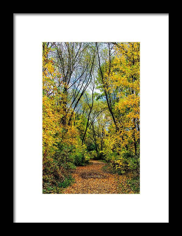 Fall Leaves Framed Print featuring the photograph Crunchy Leaves by Juli Ellen