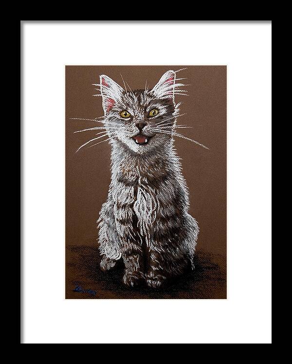 Maine Coon Cat Framed Print featuring the pastel Cry Baby by Brent Ander