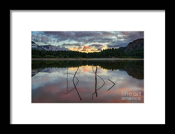 British Columbia Framed Print featuring the photograph Cryptic Message by Carrie Cole