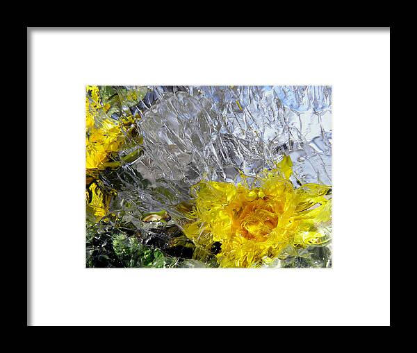 Crystal Flowers Framed Print featuring the photograph Crystal Flowers by Sami Tiainen