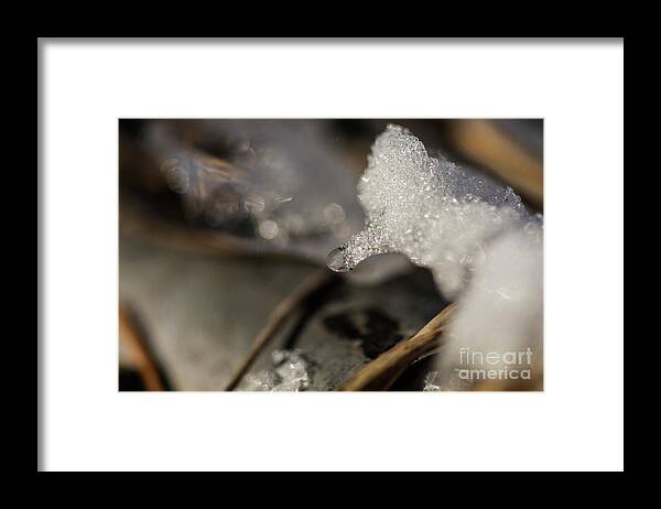 Snow Framed Print featuring the photograph Crystals by JT Lewis