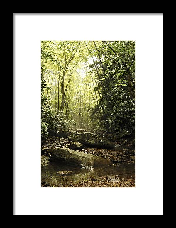 Ohiopyle Framed Print featuring the photograph Cucumber Creek by Wade Aiken